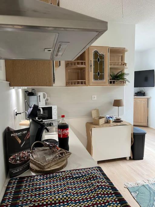 Appartement Balinais Lumineux Et Calme 亞維農 外观 照片
